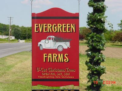 delaware christmas tree growers association evergreen farms delaware christmas tree growers association evergreen farms